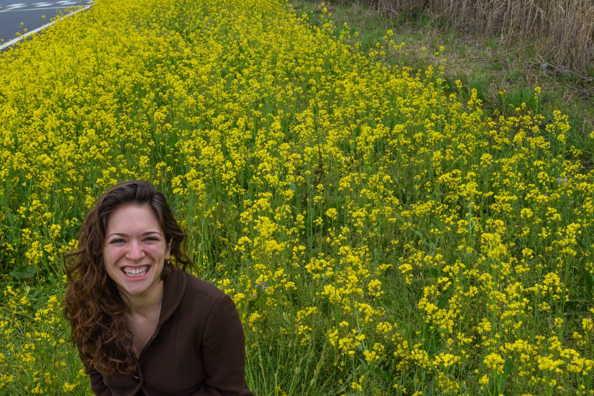 rapeseed flowers in April should be added to your Jeju itinerary