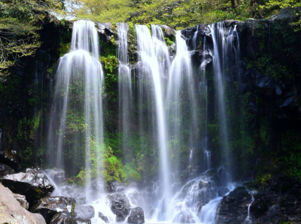 what to do in jeju