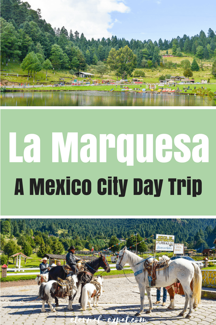 What to do in Mexico City - take a day trip to La Marquesa! This is an outdoor paradise for city dwellers and a nice escape from the concrete jungle! The food is pretty spectacular, too!