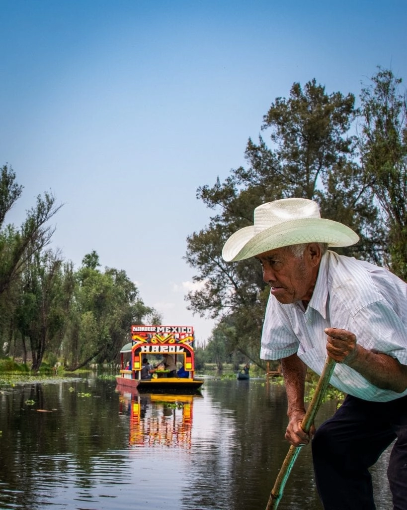 expat in mexico city