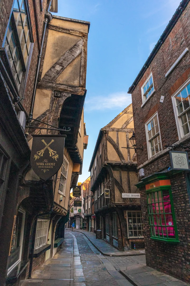 shambles in york