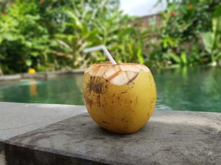 10 Best Restaurants in Cancun, Mexico