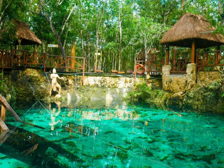 5 Best Cenotes Near Tulum Not to Miss!