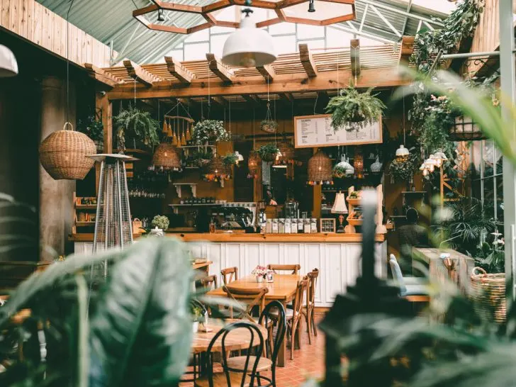 8 Best Restaurants in Puerto Morelos