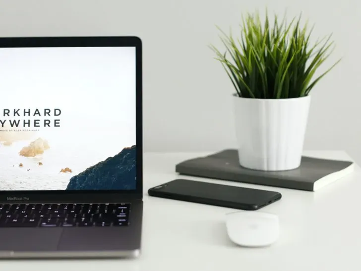 Case Study: 6 Months of Blogging