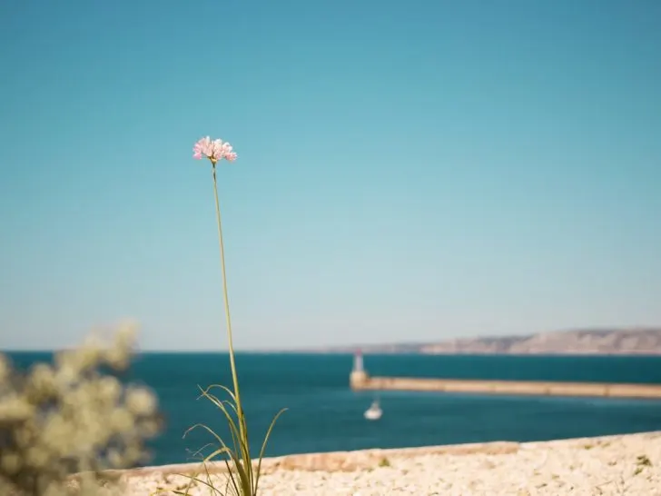 10 Best Marseille Beaches 2023 Guide