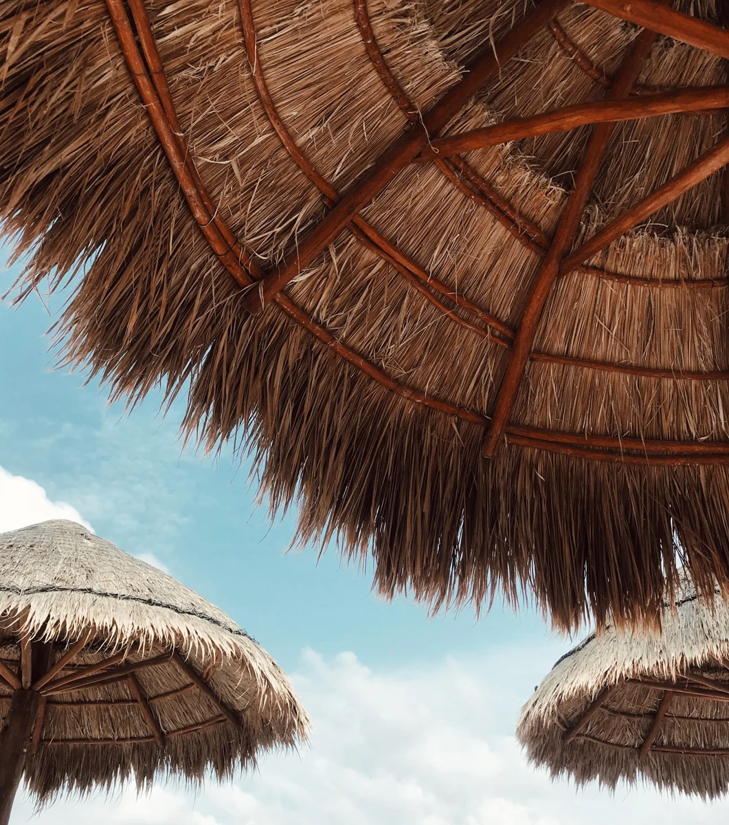 palapa umbrellas from underneath during 5 days in Cancun.