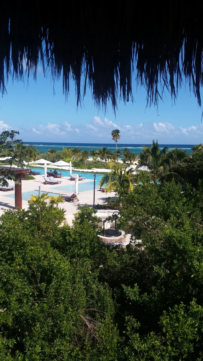 views over a pool area with jungle surrounding it. 