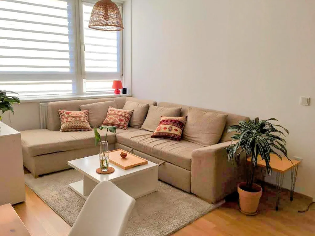 living room with a couch and a plant next to it