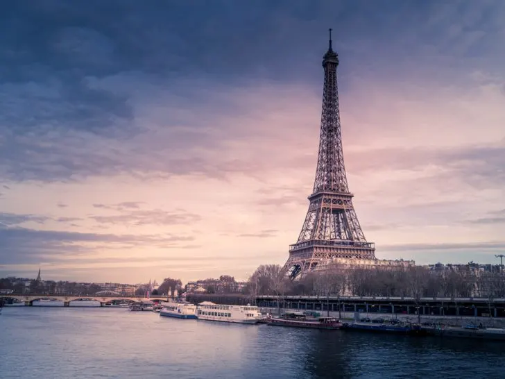 paris skyline with the eiffel tower in the background.