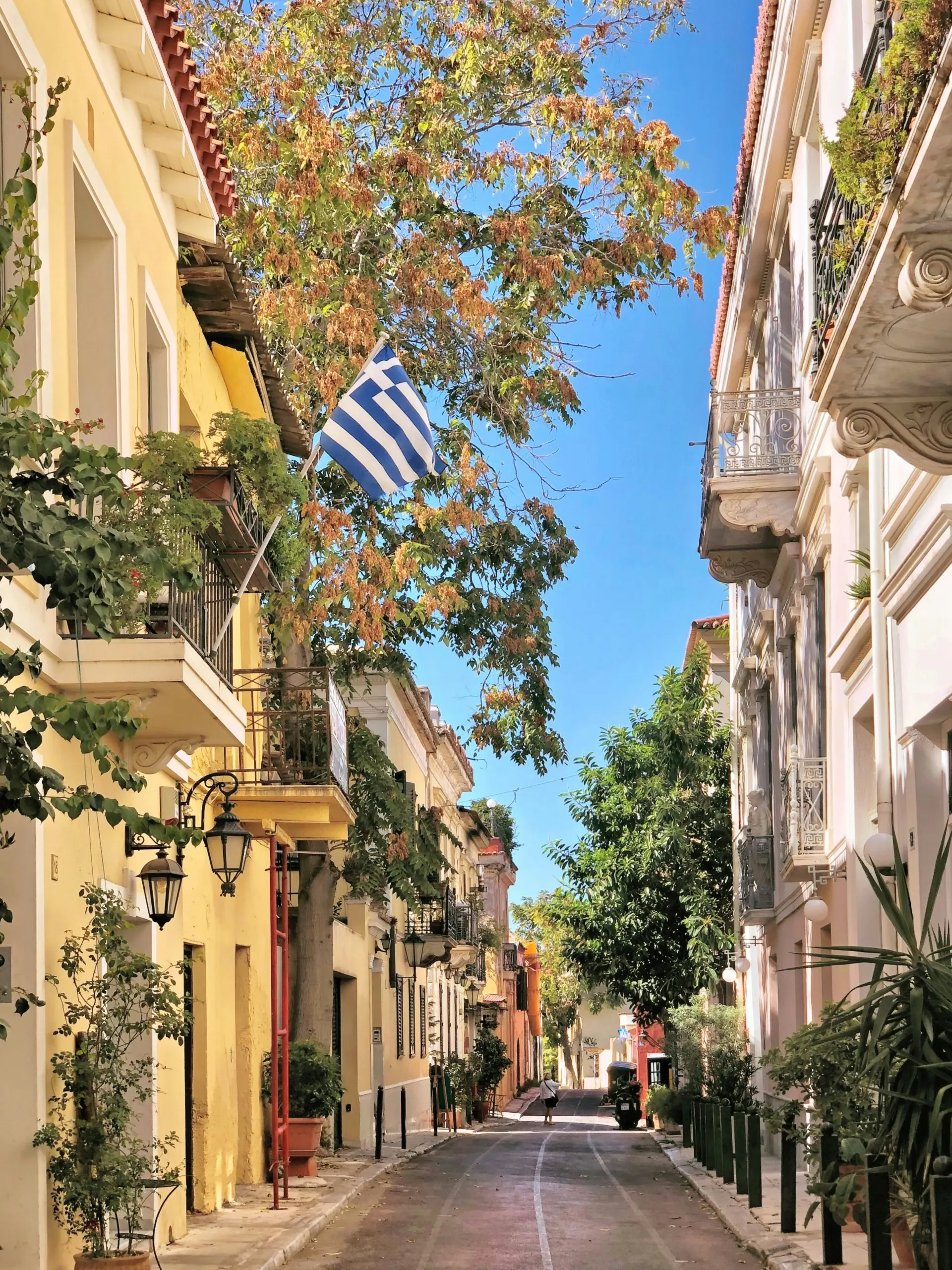 street in athens with a greek flag hanging and trees growing out into the walkway.