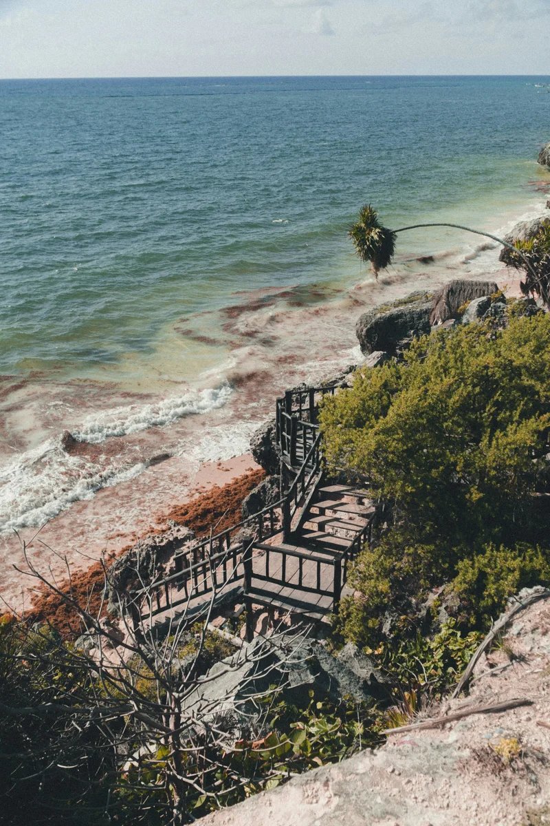seaweed on the beach with steps leading from the top of the hill to the sea below.