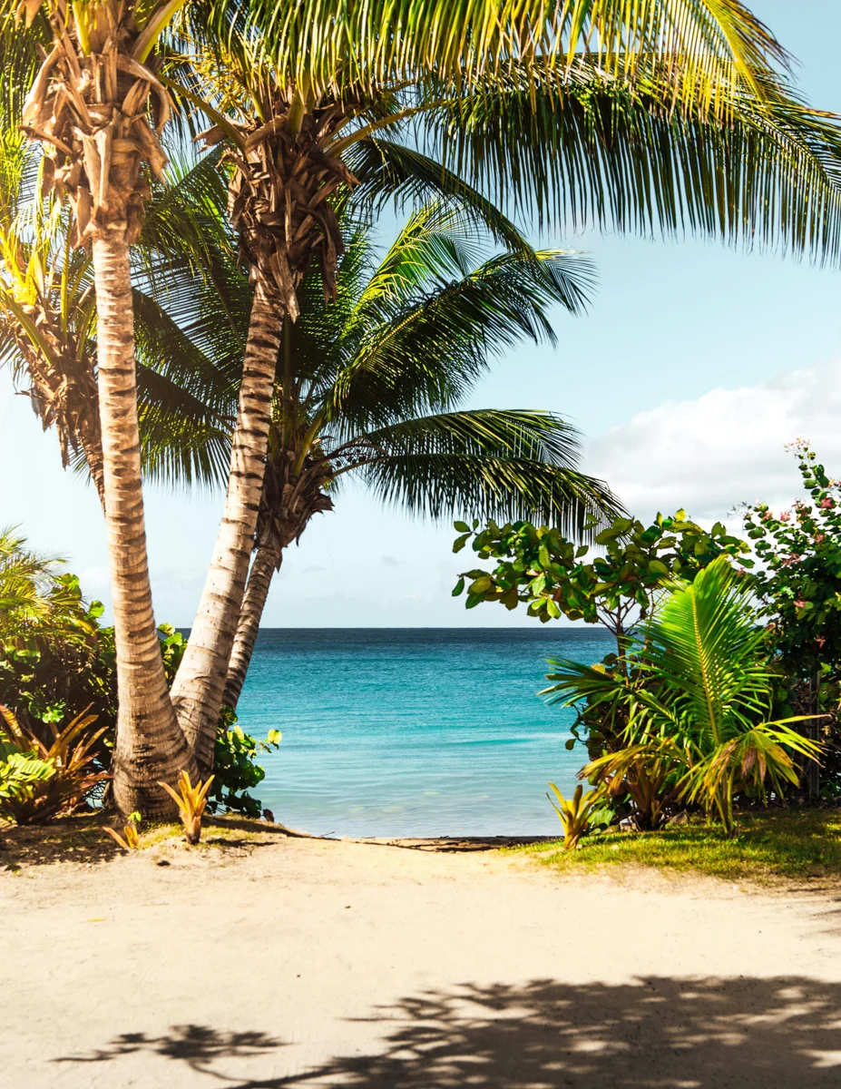 entrance to the beach with palm trees and turquoise water in the distance.
