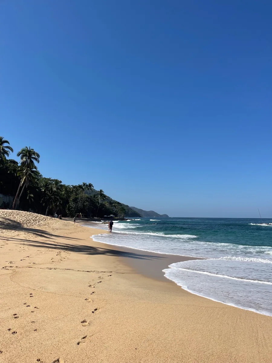 quiet sandy beach with golden sand, ocean on the right side with waves.