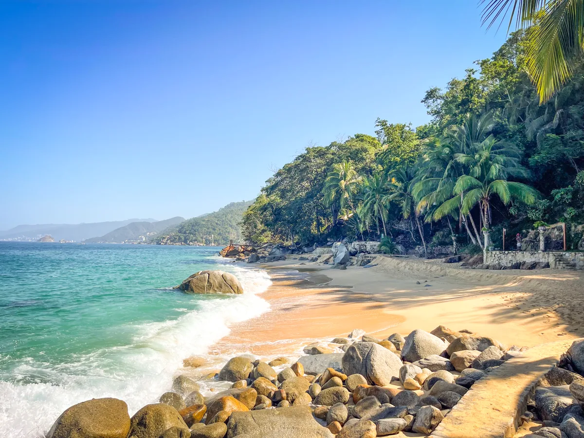 quiet golden sand beach with jungle creeping onto the sand from the right and the ocean breaking on the sand to the left.