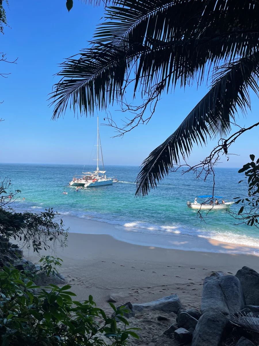 quiet beach with sailboat in the waves and a palm tree above at one of the best beaches in Puerto Vallarta.