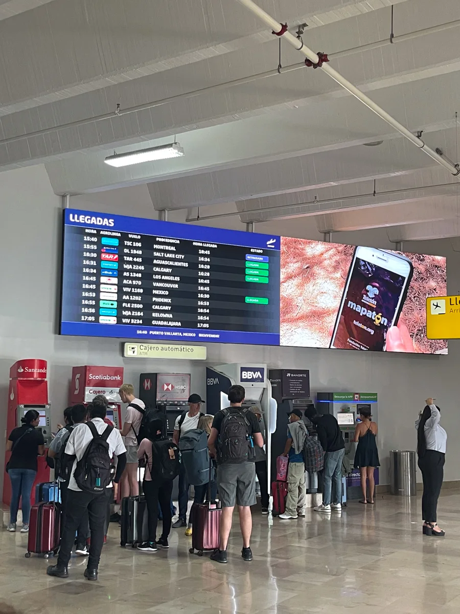 line of people waiting at the airport in puerto vallarta.