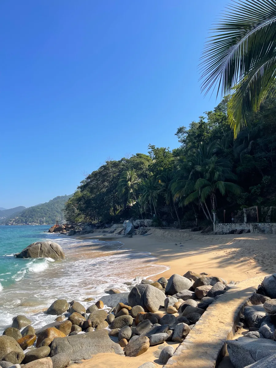 pristine beach with lush trees on the edges and rocks in the foreground.