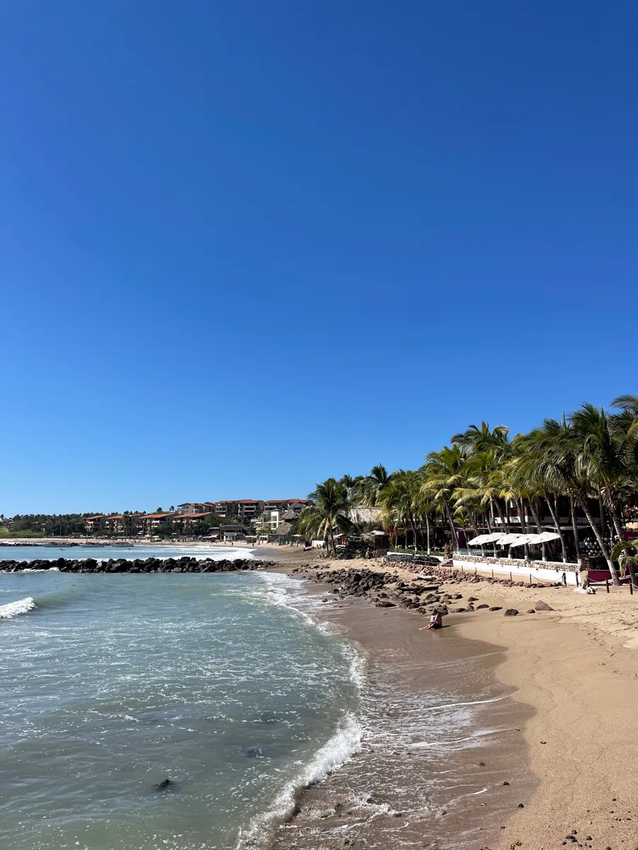beach with trees behind it and a pier towards the end.