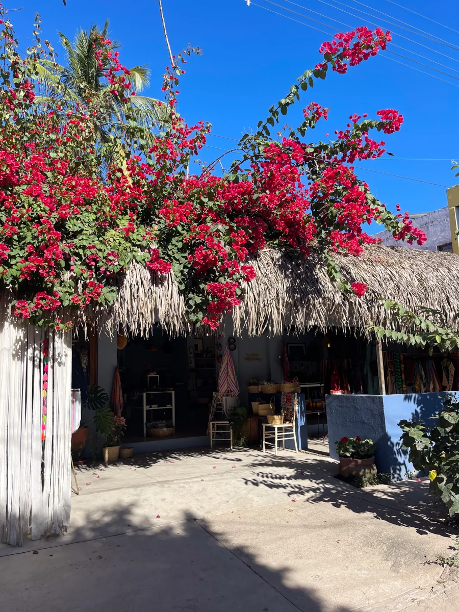 cute colorful town with flowers growing over hte top in san pancho, one of the best beaches in nayarit.
