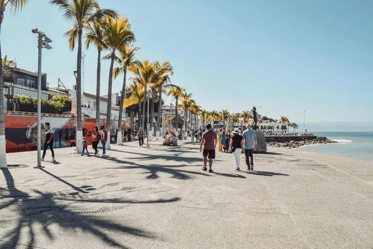 boardwalk along the coastline with palm trees on one side and ocean on the other side.