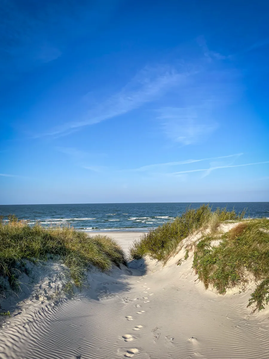 sand dines with a walkway down the middle and a glimpse at the baltic sea along the horizon.