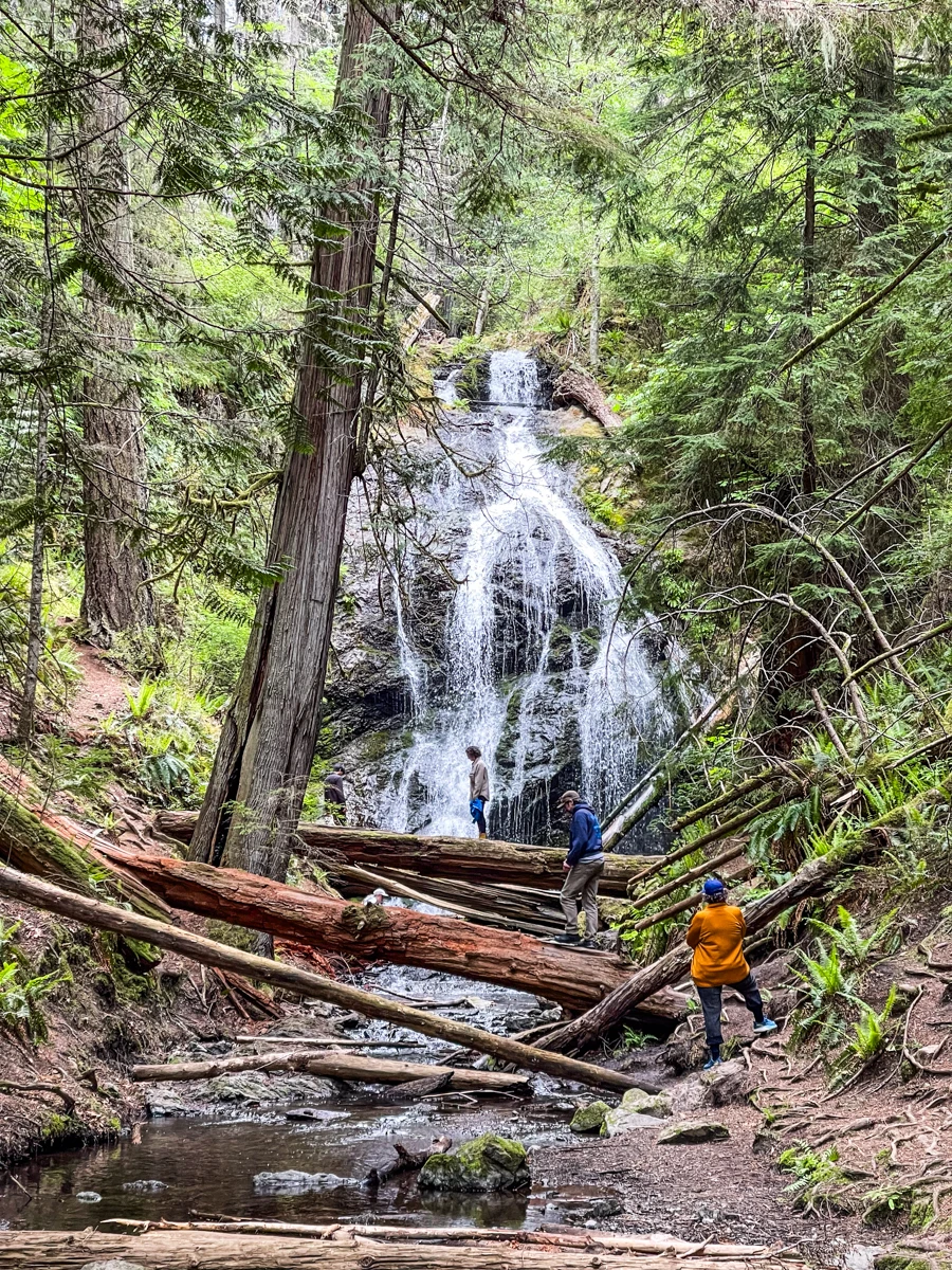 waterfall in the middle of a forest with people climbing over felled trees to reach the pool at the bottom.