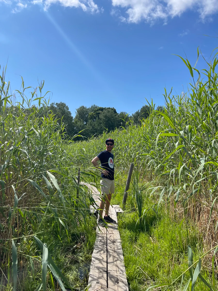man standing on a plank of wood in the middle of tall green grass in a park with bright blue skies above.