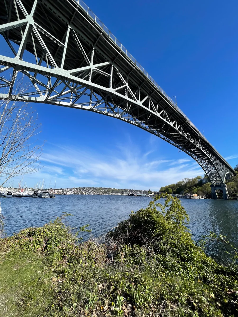 Bridge over the lake with a large patch of green grass near the front of the photograph.