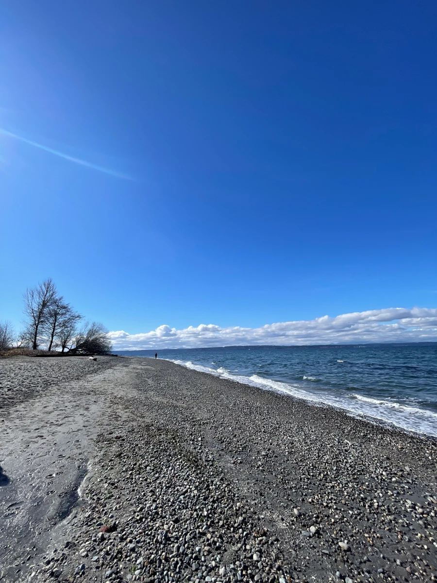 beach views with the ocean to the right and rocky beach to the left with bright blue skies above the horizon.