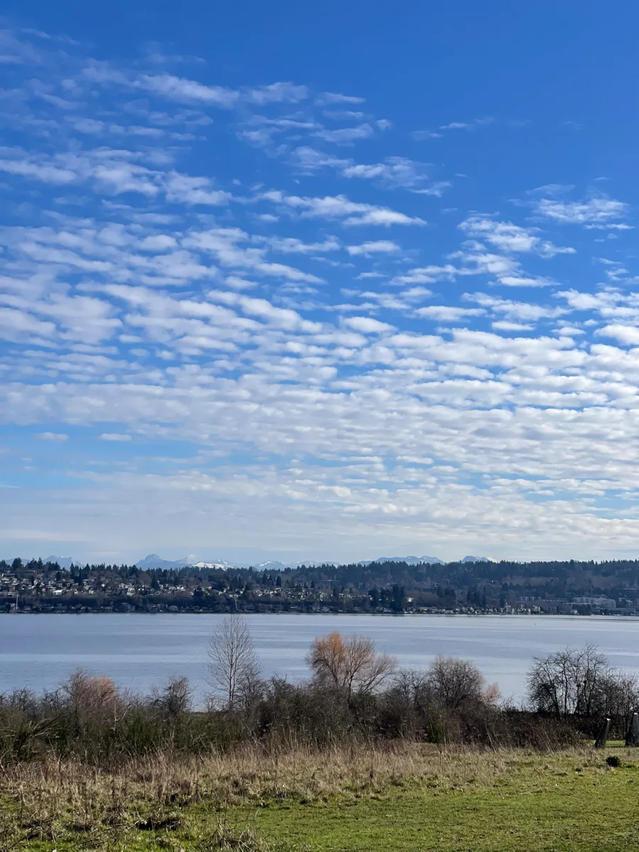 waterfront views with grass park in the front, water in the middle and blue cloudy skies above.