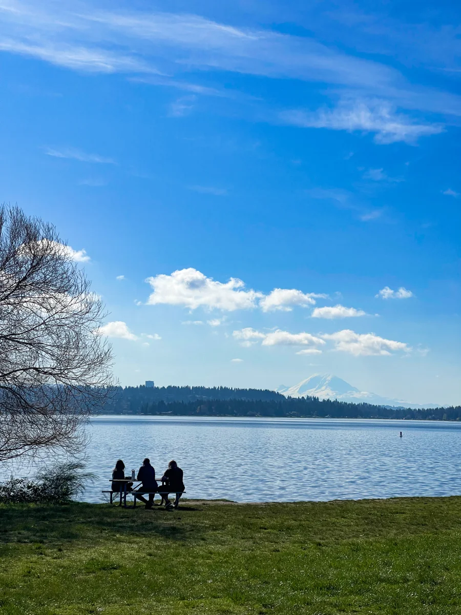 views of mount rainier with three people sitting on a bench on the grass and a body of water between them and the mountain.