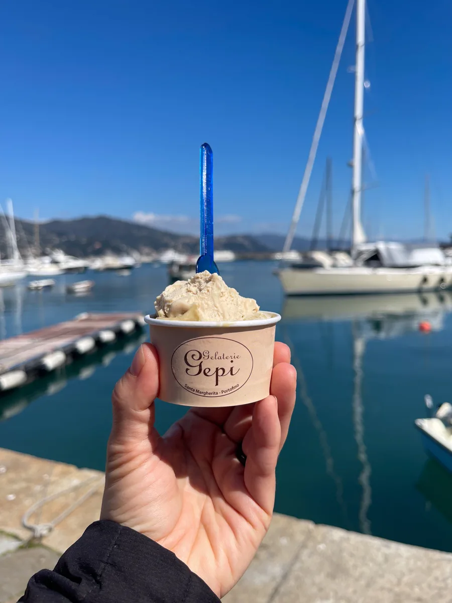 a cup of gelato with a harbor in the background.