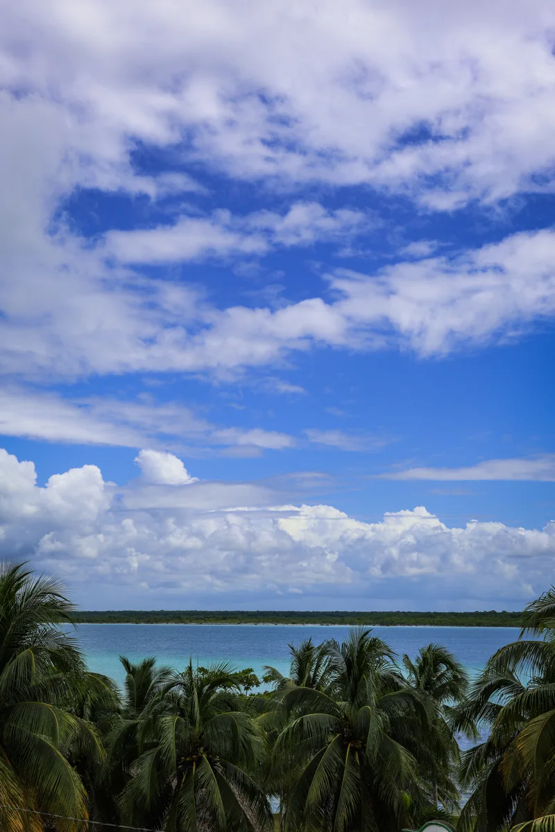 views of a turquoise waters behind palm trees with bright blue skies and clouds above the horizon.