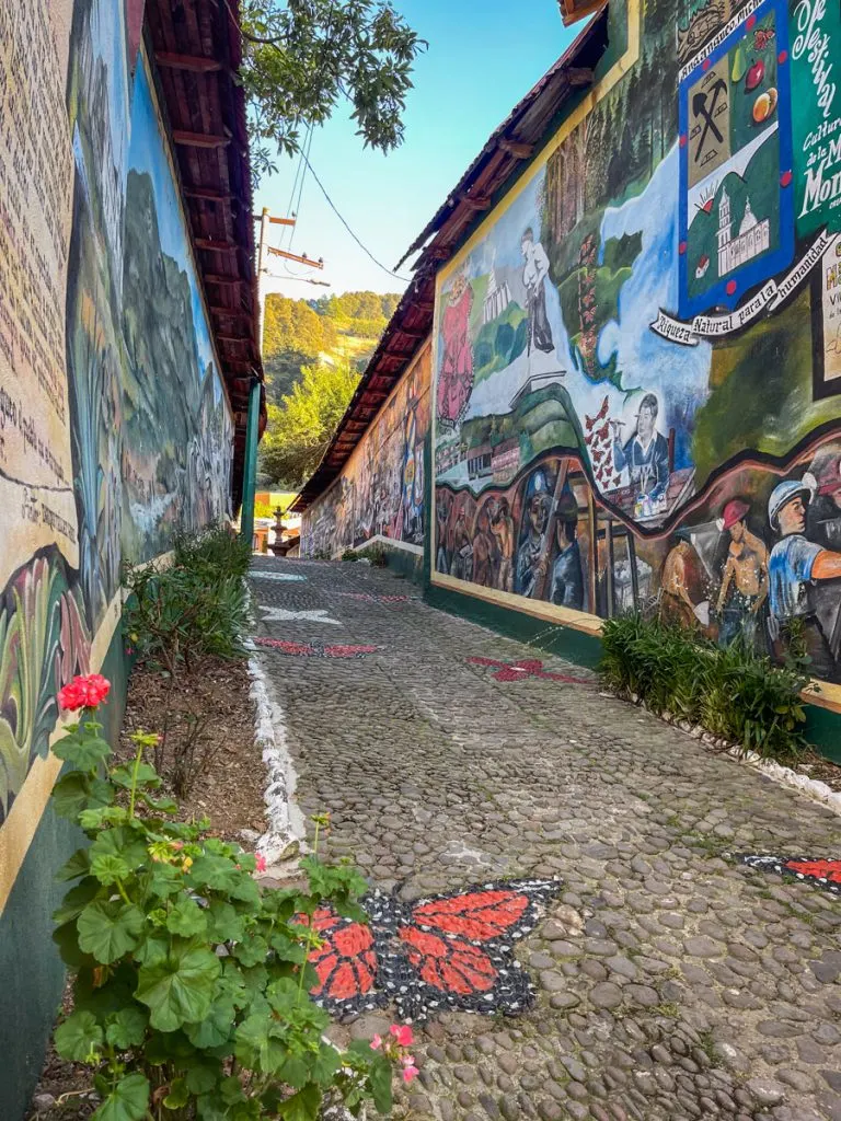 a pedestrian walkway through a colorful alley where both walls on the left and right side are covered in murals, there are butterflies painted on the ground.