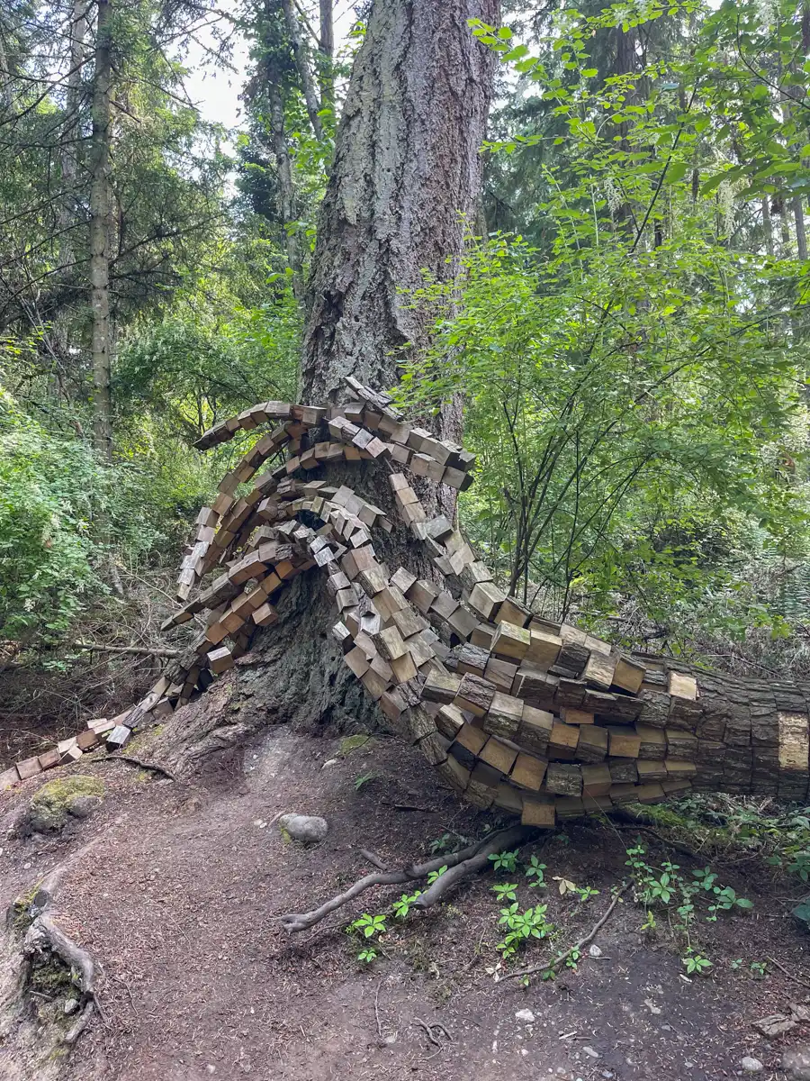 a sculpture carved into a fallen tree trunk making it look like it has tentacles made of little blocks of wood.