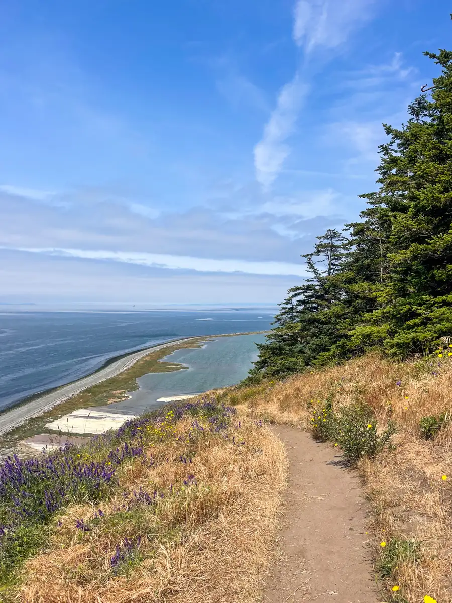 picturesque trail along a bluff with a view back down over an estuary and the ocean. This hike is one of the best things to do on Whidbey Island.