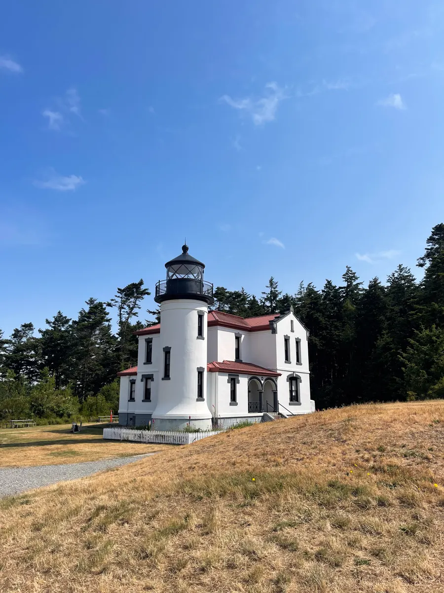 big white lighthouse attached to a big white house with yellowed grass around it, pine trees behind and bright blue skies above.