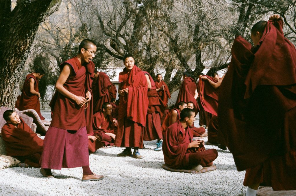 young monks in deep red robes walking around some older monks who are sitting on the ground and they are debating Buddhist ideas.